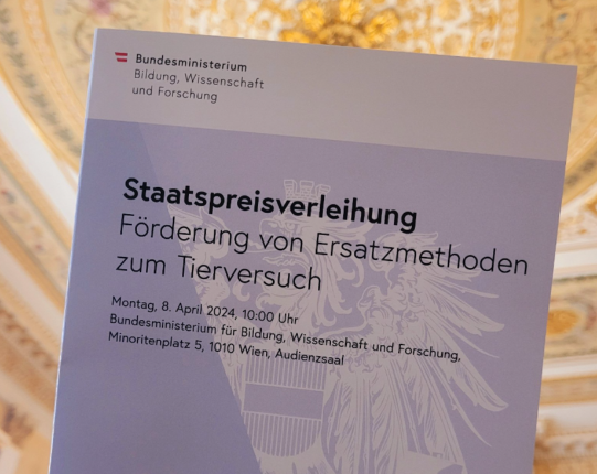 uploads/pics/Staatspreisverleihung 2024.png